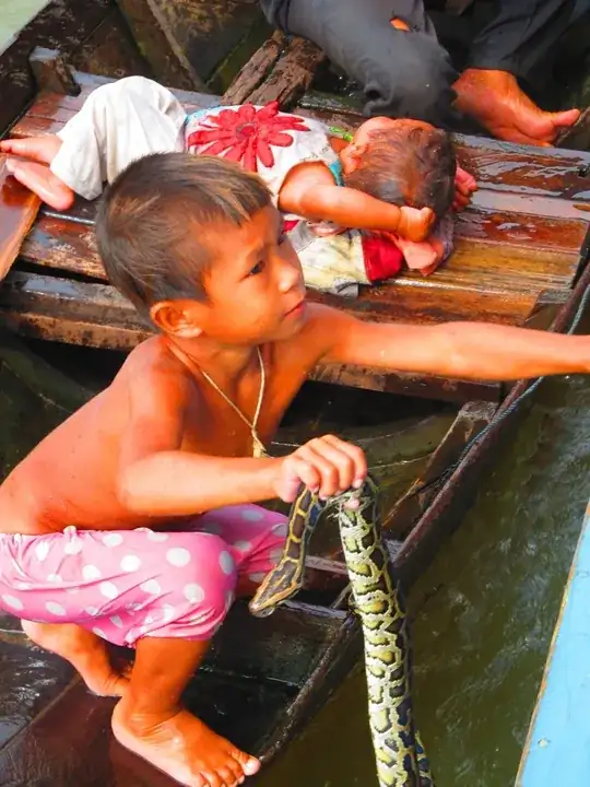 Snakes on a boat!