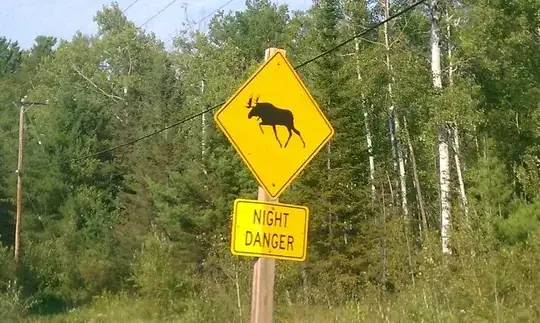 Moose Night Danger