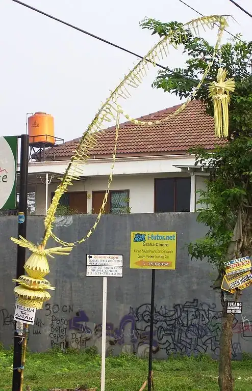 Strange items seen in Indonesia
