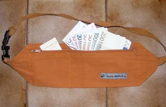 Moneybelt