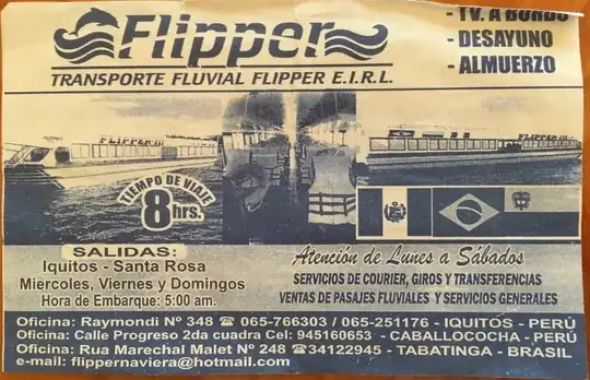 Flipper