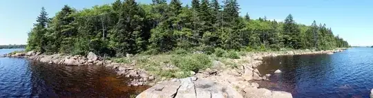 view at the forest from shoreline of the lake