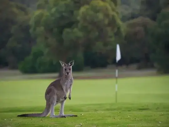 Anglesea Golf Course