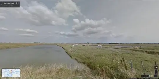 salt meadow 1