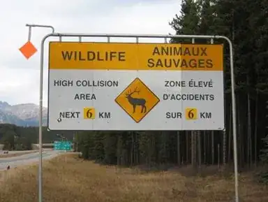 Wildlife warning sign you may see leaving Banff