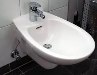 Bidet nozzle