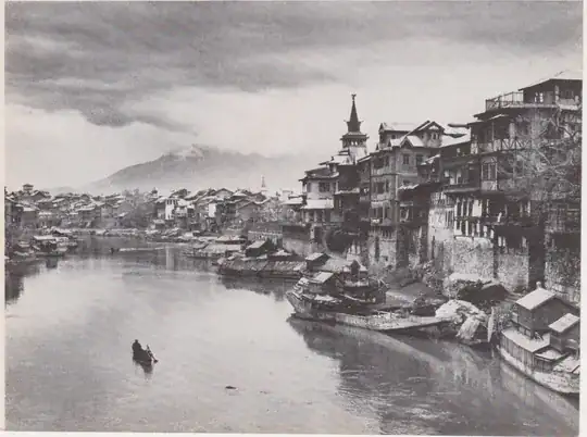 The boats seem Oriental, but the buildings seem European.