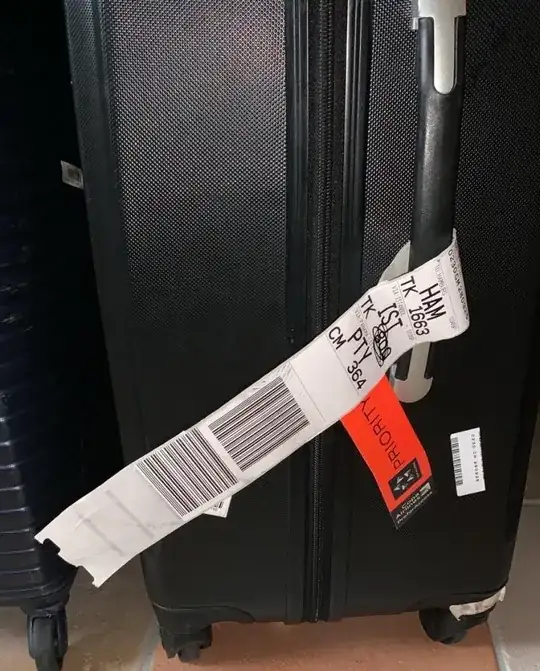 Check-through bag