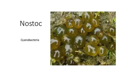 nostoc