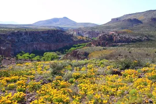 Gila River Pic