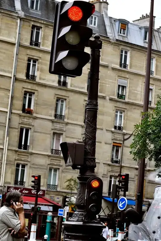 Red traffic signal in Paris, France