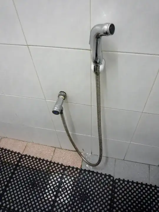 A hose in a toilet in Malaysia