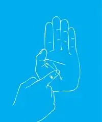 Palm