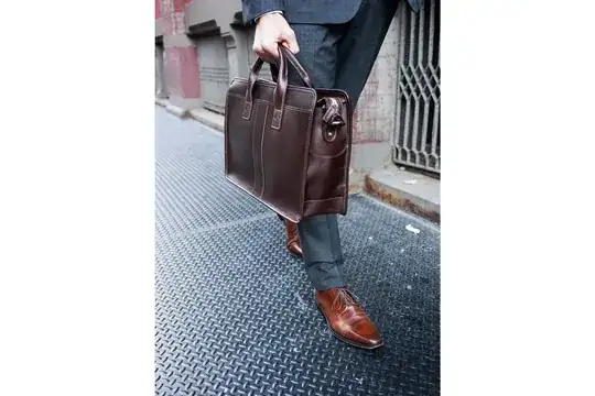 Person holding briefcase
