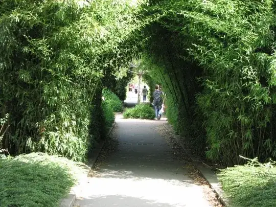 Coulée Verte