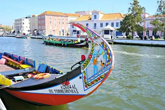 Moliceiro
