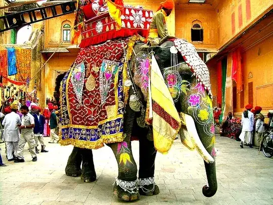 Decorated Indian elephant