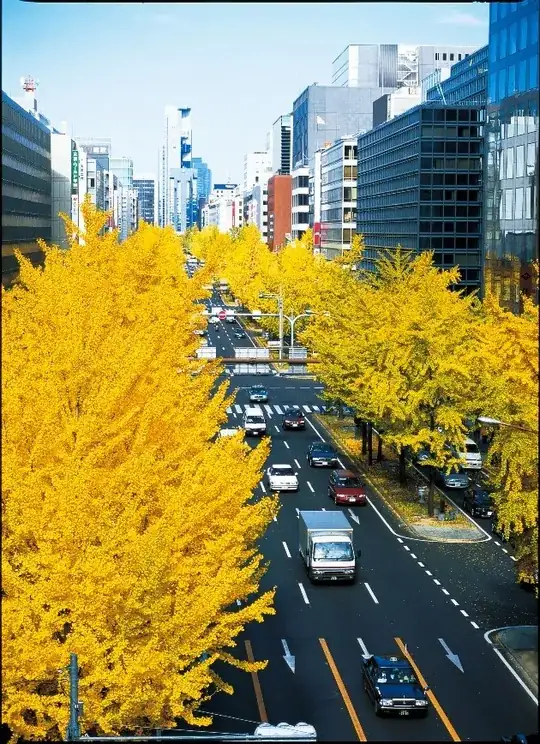 Autumn on Midosuju street