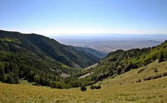 Lincoln National Forest pic