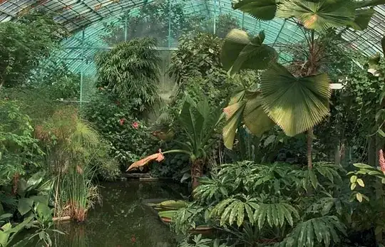 Jardin