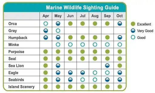 Guide