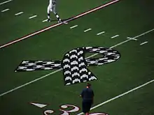 American football field with a houndstooth awareness ribbon painted on it.