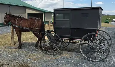 Buggy of the Virginia Old Order Mennonites