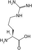 L-Arginine(Arg&nbsp;/&nbsp;R)