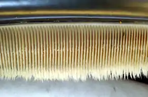 Photo displaying dozens of baleen plates. The plates face each other, and are evenly spaced at approximately 0.25 inches (1&nbsp;cm) intervals. The plates are attached to the jaw at the top, and have hairs at the bottom end.