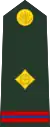 Warrant officer(Bengali: ওয়ারেন্ট অফিসার, romanized:&nbsp;Ōẏārēnṭa aphisāra)(Bangladesh Army)