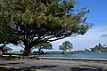 Banyan Drive - Looking toward the Port of Hilo
