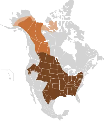 Original distribution of plains bison and wood bison in North America along the "great bison belt". Holocene bison (Bison occidentalis) is an earlier species at the origin of plains bison and wood bison. &nbsp;&nbsp;Holocene bison&nbsp;&nbsp;Wood bison&nbsp;&nbsp;Plains bison