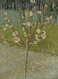 Almond Tree in Bloom1888Van Gogh Museum, Amsterdam (F557)