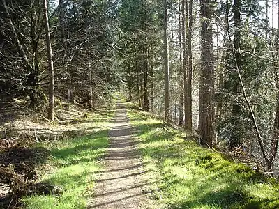 Footpath alongside the canal, near Laggan