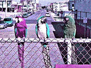 320&nbsp;×&nbsp;200 in 4 colors palette 1