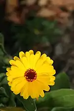 ISO 1600, f/5.6, 1/4000&nbsp;s (click on image for larger version)