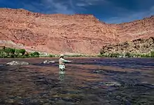 Man fly-fishing at Lees Ferry, Arizona