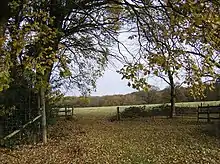 Bentley Station Meadow
