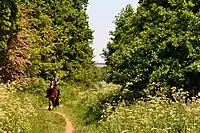 View of Richmond Hill