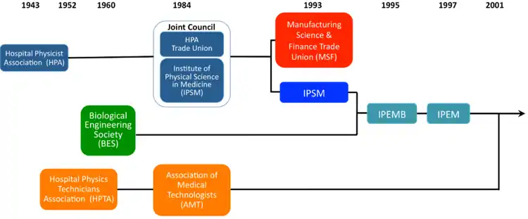 IPEM timeline