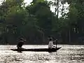 Canoeing on the Rio Urubu