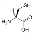 L-Cysteine(Cys&nbsp;/&nbsp;C)