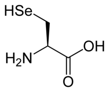 L-Selenocysteine(Sec&nbsp;/&nbsp;U)