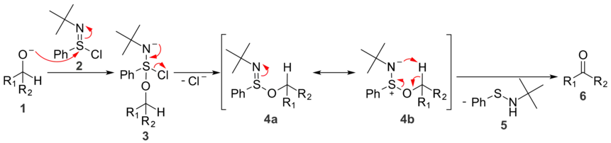 In oxidation reactions with N-tert-butylbenzenesulfinimidoyl chloride, a five-membered ring transition state is responsible for the formation of a new double bond.