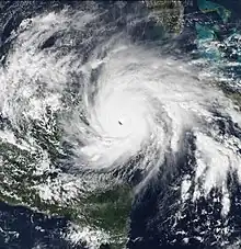 Hurricane Michelle near peak intensity on November&nbsp;3. The cyclone is a mature and well-developed Category&nbsp;4 hurricane.