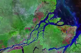 Image 12The Amazon River in Brazil. (from Ecoregion)