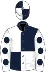 Dark blue and white (quartered), white sleeves, dark blue spots