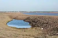 Percolation lagoon at Shingle Street