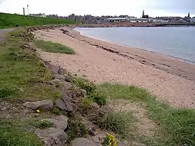 Peterhead Bay, shoreline A popular dog walking/exercising area.