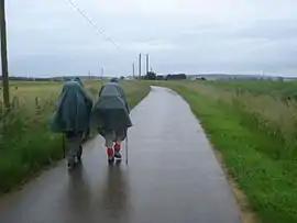 Pilgrims on the Way of St. James